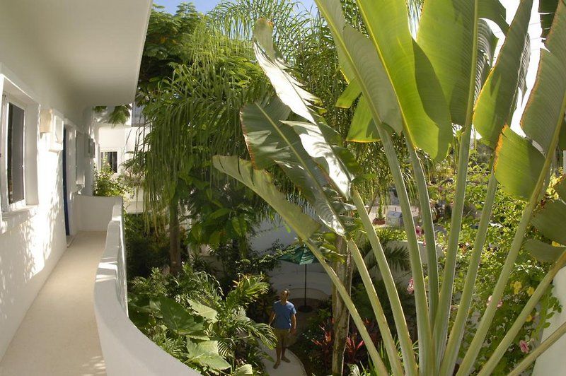 Aqualuna Boutique Hotel By Sunrise (Adults Only) Playa del Carmen Zewnętrze zdjęcie